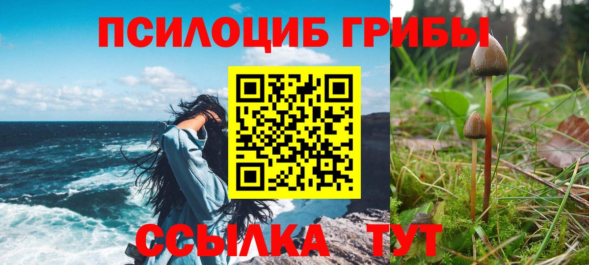 Галлюциногенные грибы Psilocybine cubensis Астрахань
