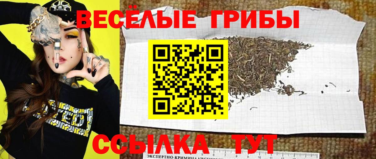 Галлюциногенные грибы Magic Shrooms  Вход с VPN  где можно купить наркотик  Астрахань 